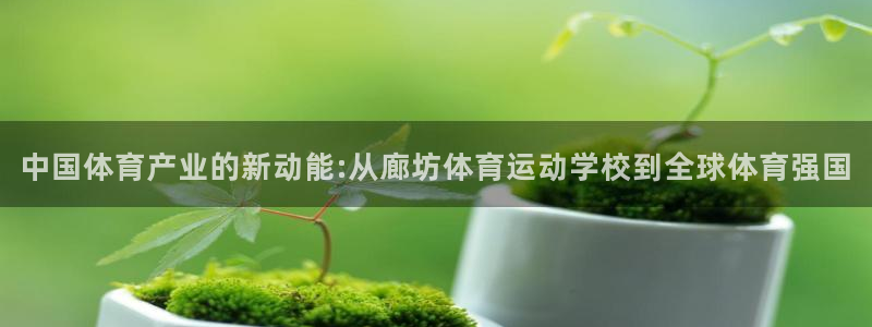 中国体育产业的新动能:从廊坊体育运动学校到全球体育强国