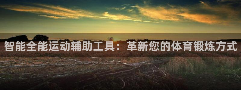 智能全能运动辅助工具：革新您的体育锻炼方式