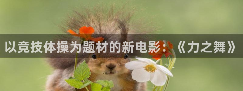 以竞技体操为题材的新电影：《力之舞》
