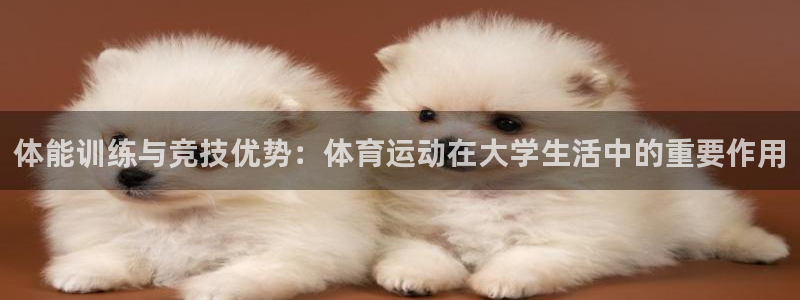 体能训练与竞技优势：体育运动在大学生活中的重要作用