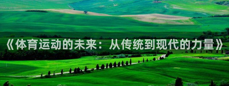 《体育运动的未来：从传统到现代的力量》