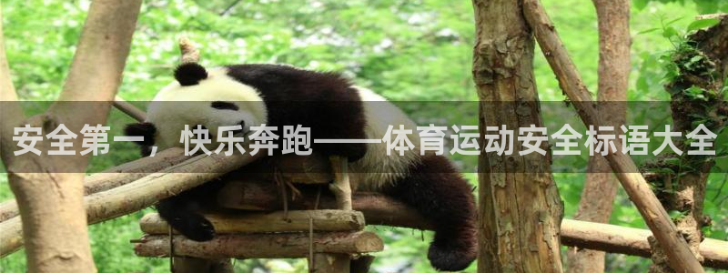 安全第一，快乐奔跑——体育运动安全标语大全